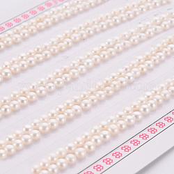 Perlas naturales abalorios de agua dulce cultivadas, medio-perforado, rerondana plana, blanco floral, 3~3.5x2mm, agujero: 0.8 mm, aproximamente 100 pares / cartón