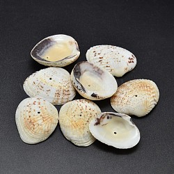 Perle di conchiglie naturali tinte, chiffon al limone, 32~37x20~29x8~10mm, Foro: 1 mm, circa 100pcs/500g