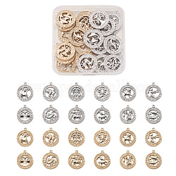 Fashewelry 2 Sets 2 Colors Zinc Alloy Jewelry Pendant Accessories, Flat Round with Twelve Constellations, Platinum & Light Gold, Mixed Color, 20x20mm, Hole: 2mm, 12 constellations, 1pc/constellation, 12pcs/set, 1set/color