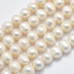 Natural Cultured Freshwater Pearl Beads Strands, Potato, Beige, 6~7.5x5~6mm, Hole: 0.8mm, about 60pcs/strand, 14 inch(35.5cm)