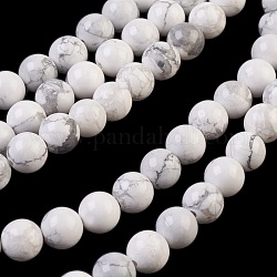 Chapelets de perles en howlite naturelle, ronde, 8mm, Trou: 1mm, Environ 48 pcs/chapelet, 15.75 pouce
