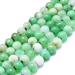 Natürliche Chrysopras-Perlenstränge, Runde, 8~9 mm, Bohrung: 0.8 mm, ca. 48~52 Stk. / Strang, 15.35''~16.54'' (39~42 cm)