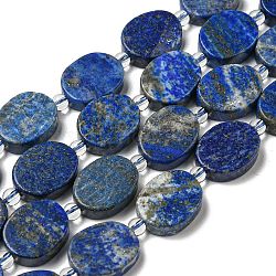 Filo di Perle lapis lazuli naturali , con perline semi, Oval Piatto, 18x14~14.5x5~6mm, Foro: 1.2 mm, circa 18pcs/filo, 15.20~15.28 pollice (38.6~38.8 cm)