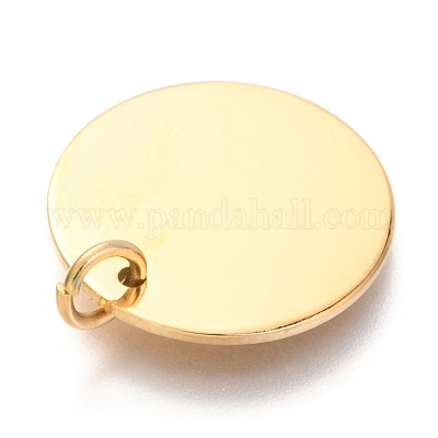 Ионное покрытие (ip) подвески из нержавеющей стали 304 EJEW-L238-03E-G-1