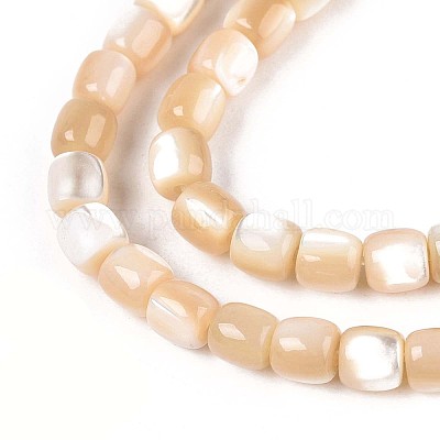 Нити бусин из натуральных трохоидных/трохус ракушек SSHEL-N040-12-1