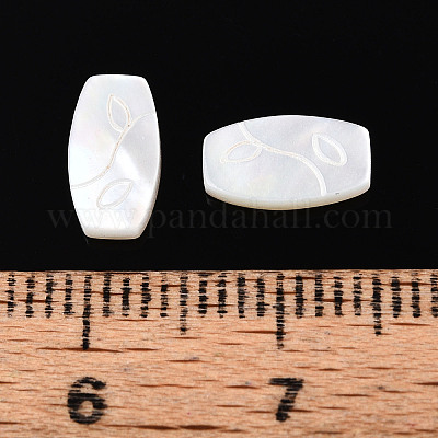 Натуральный белый кабошоны оболочки BSHE-T014-18-1