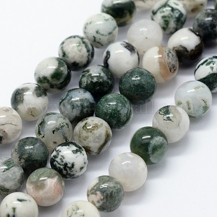 Natural Tree Agate Beads Strands X-G-I199-03-10mm-1