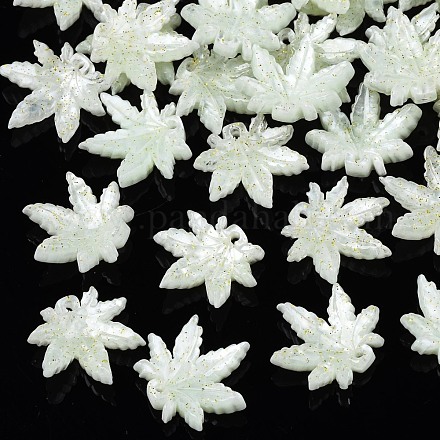 Opaque Cellulose Acetate(Resin) Charms KY-T022-68B-1