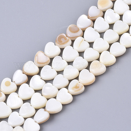 Coquille de trochid naturel / brins de perles de coquille de trocas X-SSHEL-N034-66-1