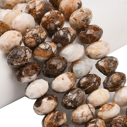 Природные окаменелое дерево бисер пряди&nbsp;G-C259-A06-8x12mm-02-1