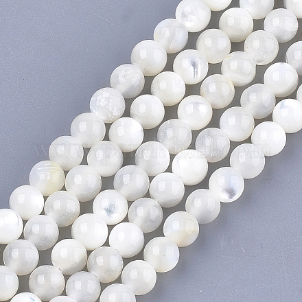 Natural White Shell Beads SHEL-T012-49C-1