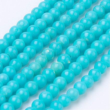 Chapelets de perles de howlite naturelle G-P286-11-2mm-1