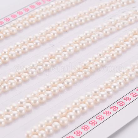 Culture des perles perles d'eau douce naturelles PEAR-P056-048-1