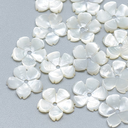 Perles de coquillage blanc naturel SSHEL-S260-009-1
