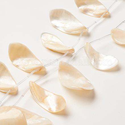 Chapelets de perles de coquillage naturel SSHEL-G018-04A-1
