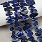Natural Lapis Lazuli Beads Strands, Nuggets, with Seed Beads, 6~17x3.5~8.5x1~6.5mm, Hole: 0.8mm, about 51~63pcs/strand, 15.35~16.73''(39~42.5cm)