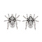 Tibetan Style Alloy Pendants, Spider, Cadmium Free & Lead Free, Antique Silver, 25.5x24x5mm, Hole: 1.6mm