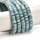 Chapelets de perles en turquoise naturelle G-M422-C01-01-2