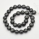 Flat Round Shell Pearl Bead Strands BSHE-M008-01A-2