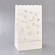 Bolsa de papel de vela hueca CARB-WH0007-04-2