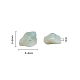 Perles en chips d'amazonite naturelle G-CJ0001-21-2