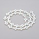 Guscio bianco naturale madreperla perle di conchiglia SHEL-K004-01-A-2