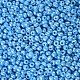 Perles de rocaille en verre SEED-A012-3mm-123-2