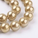 Shell Pearl Beads Strands BSHE-G013-8mm-01-3