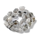 Natural Labradorite Beads Strands G-C182-25-01-3