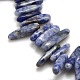 Natural Blue Spot Jasper Beads Strands X-G-P033-03-2