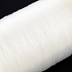 ナイロンワイヤー  釣り糸  ビーズスレッド  透明  0.3mm  約2296.58ヤード（2100m）/ロール NWIR-R012-0.3mm-2