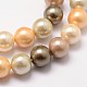 Cuentas perlas de concha de perla BSHE-L017-12-3