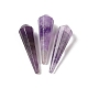 Natürlichen Amethyst Perlen&nbsp;G-L479-46-06-1