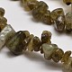 Natural Labradorite Chip Beads Strands G-L269-29-2