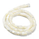 Brins de perles de coquillages naturels de troca SHEL-M020-01-3