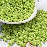 Выпечка краска стеклянные бусины SEED-K009-01A-14
