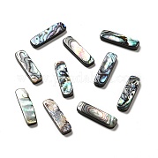 Бусины из натуральной ракушки пауа SHEL-G014-07B