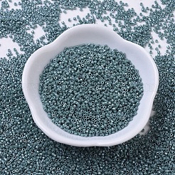 Miyuki Delica Perlen&nbsp;X-SEED-J020-DB0264