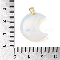 Opalite подвески&nbsp;G-A297-02G-13