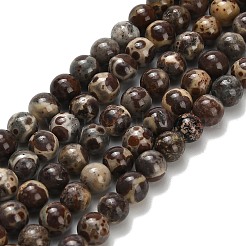 Нити бусин из натурального астроита и яшмы G-H329-C02-6mm