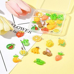 24шт 12 стиля непрозрачные подвески из смолы&nbsp;RESI-FS0002-07