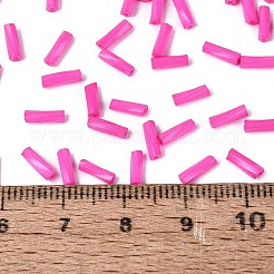 Backfarbe Glas Twist Signalhornperlen&nbsp;SEED-C004-02S