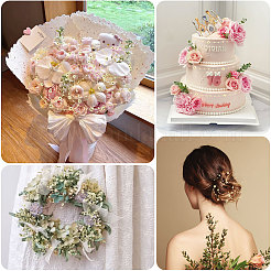 Пластиковые цепочки из искусственного жемчуга KY-WH0051-25B