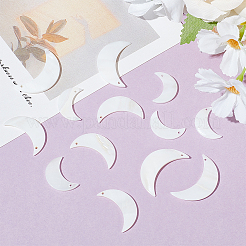 36шт 3 стиля подвески из натуральных ракушек&nbsp;SHEL-GO0001-08