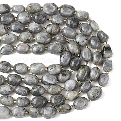 Природные лабрадорита бисер нитей&nbsp;G-G453-D10-01