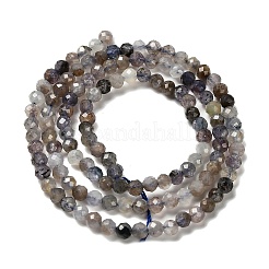 Природные иолит нитей бисера&nbsp;LS-G-RM2025-22-3mm