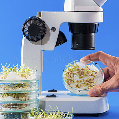 Плоская круглая стеклянная биохимическая чашка Петри GLAA-OC0001-14A