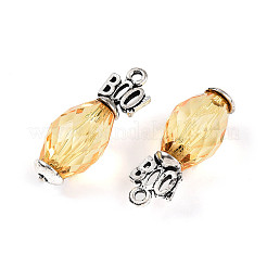 Прозрачные акриловые подвески&nbsp;SACR-N013-010A-RS