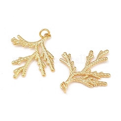 Латунные подвески&nbsp;KK-L255-01G-02