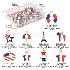 45 шт. 9 стиля эмалевые подвески из сплава ко Дню независимости&nbsp;FIND-FS0004-09